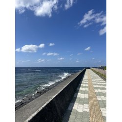 空き家管理・空き地管理の事なら