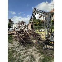樹木の伐根作業承ります